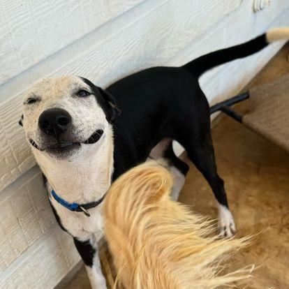 smile
